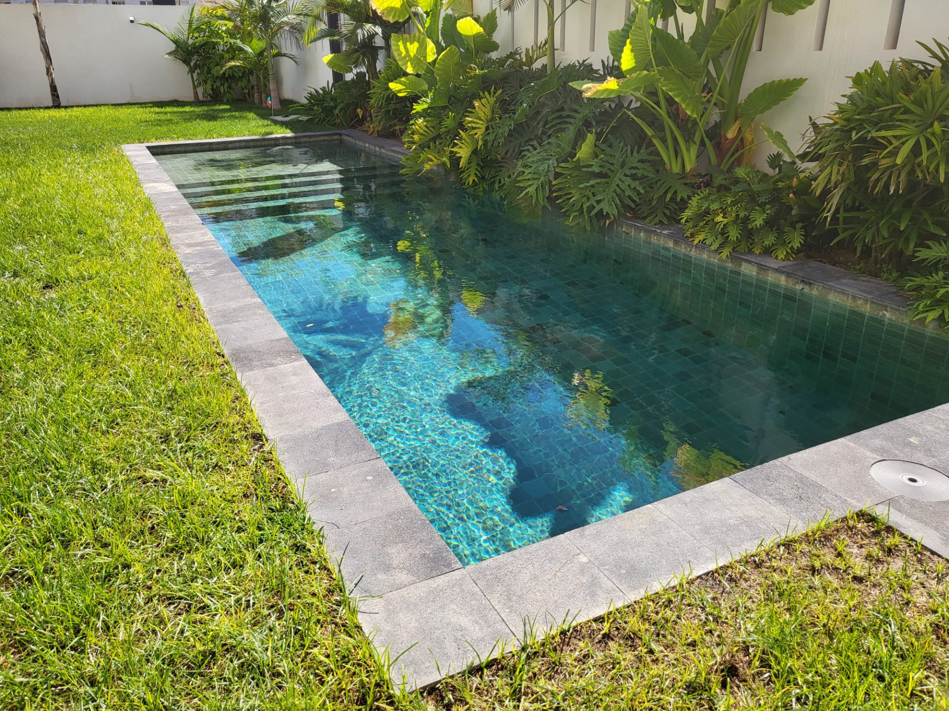 Revestimiento piedra volcanica piscina moderna 1737551329 6175935